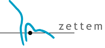 Zettem logo